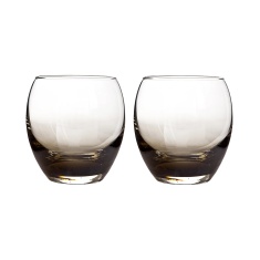 Denby Contemporary Smoked Grey Small Tumbler Set of 2