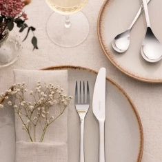 Viners Darwin 18/10 16 Piece Cutlery Set