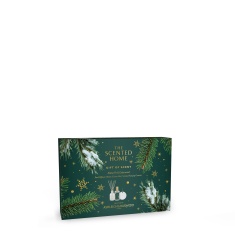 Ashleigh & Burwood Festive Fir & Cedarwood Diffuser, Spray & Hanging Ceramic Gift Set
