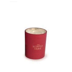 Ashleigh & Burwood Frosted Berry Candle 170g