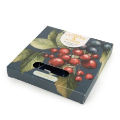 Candlelight Wild Cranberry & Juniper Tealights Set of 9 Candlelight Wild Cranberry & Juniper Tealights Set of 9