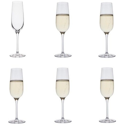 set of 6 champagne flutes