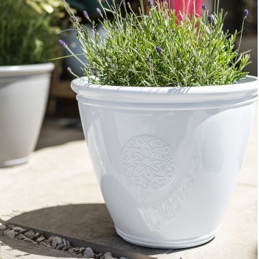 Kelkay Eden Emblem White Planter