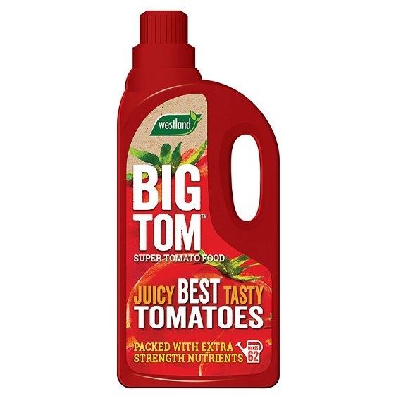 Westland Big Tom Super Tomato Food