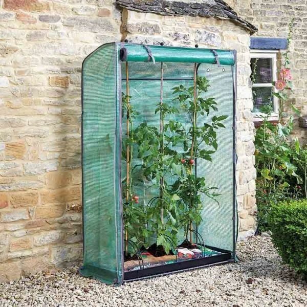 Smart Solar Grozone Tomato Grow House