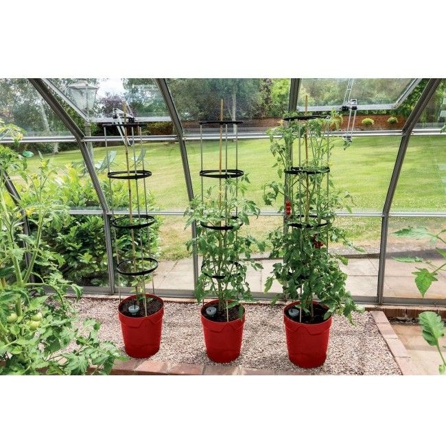 Garland Self Watering Grow Pot Planter - Red