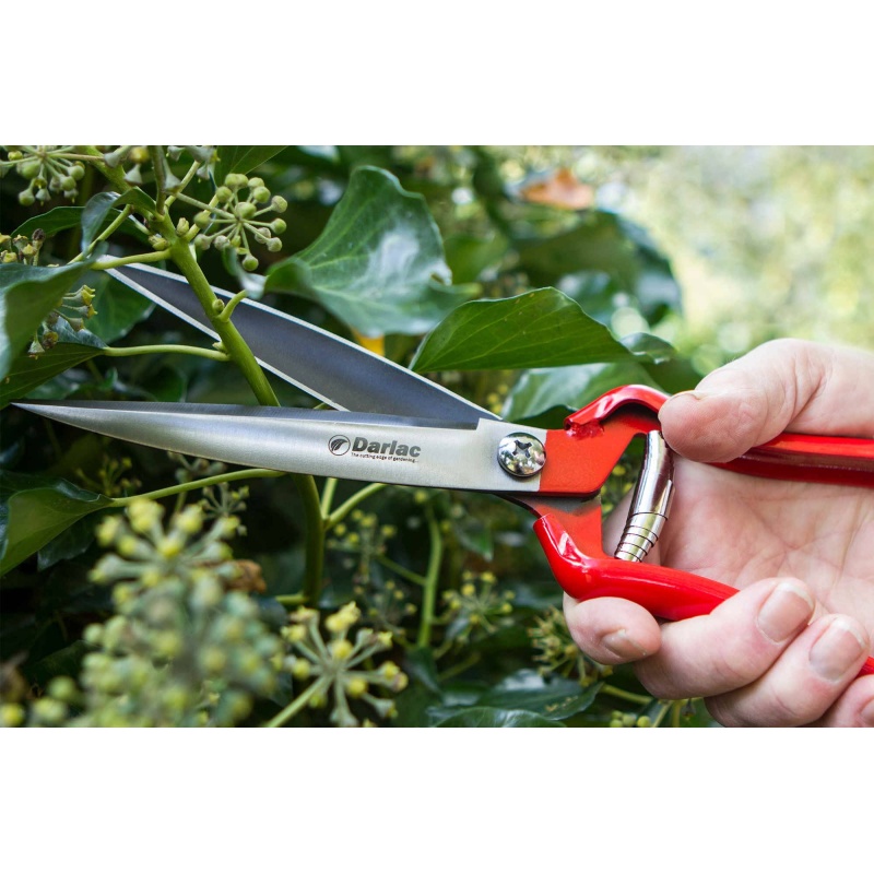 Darlac shears discount