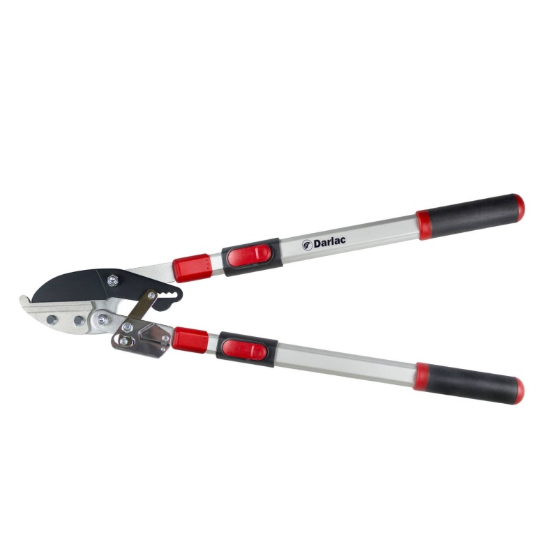 Darlac DP474 Telescopic Ratchet Lopper