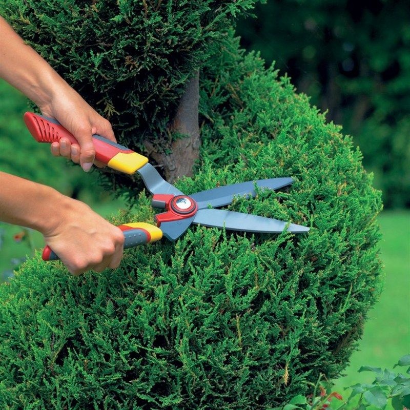 Wolf garden shears hotsell