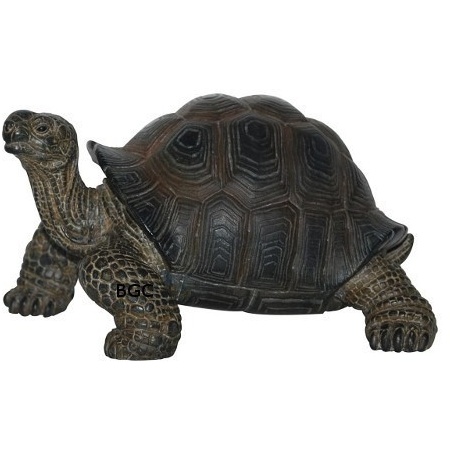 Vivid Arts Baby Tortoise Petpal