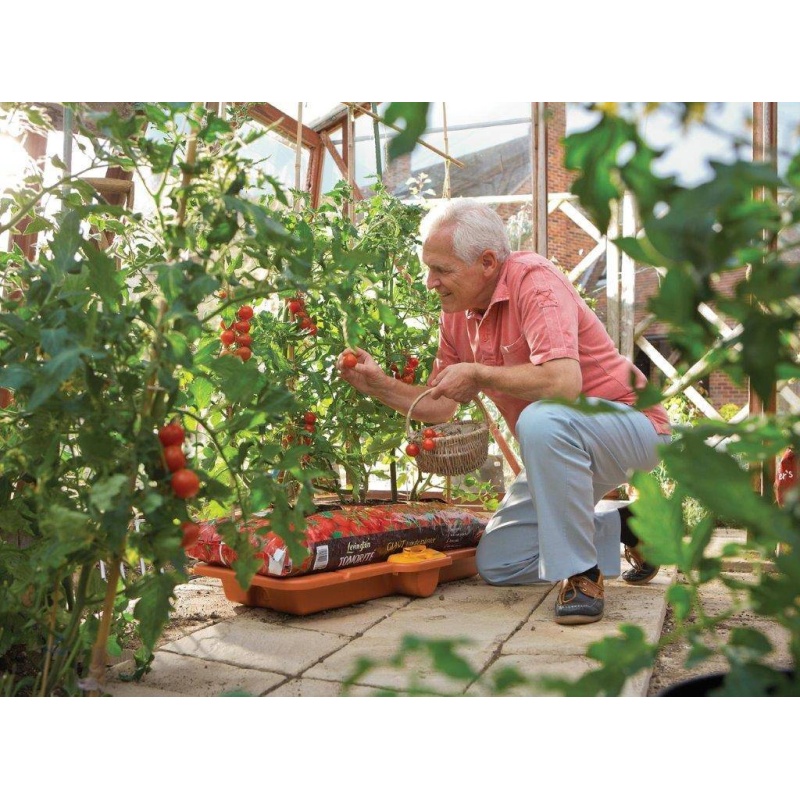 Hozelock Grow Bag Waterer Downtown
