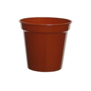 White Furze 7.5cm (3") Pots Set of 10 - Terracotta