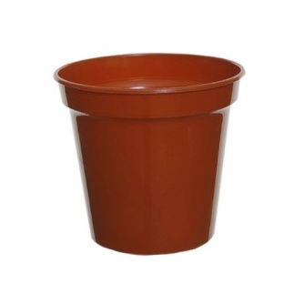 White Furze 10cm (4") Pots Set of 7 - Terracotta