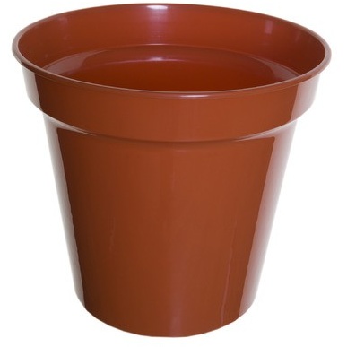 White Furze 31cm (12.5") Pot - Terracotta