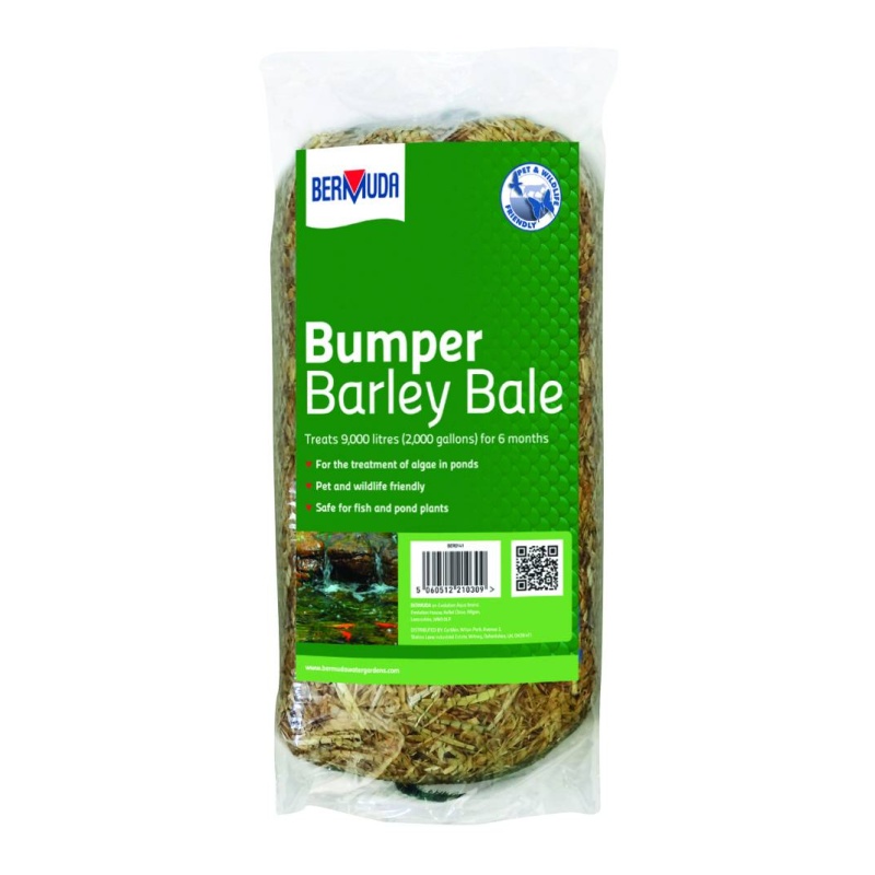 Bermuda Bumper Bale Barley Straw M