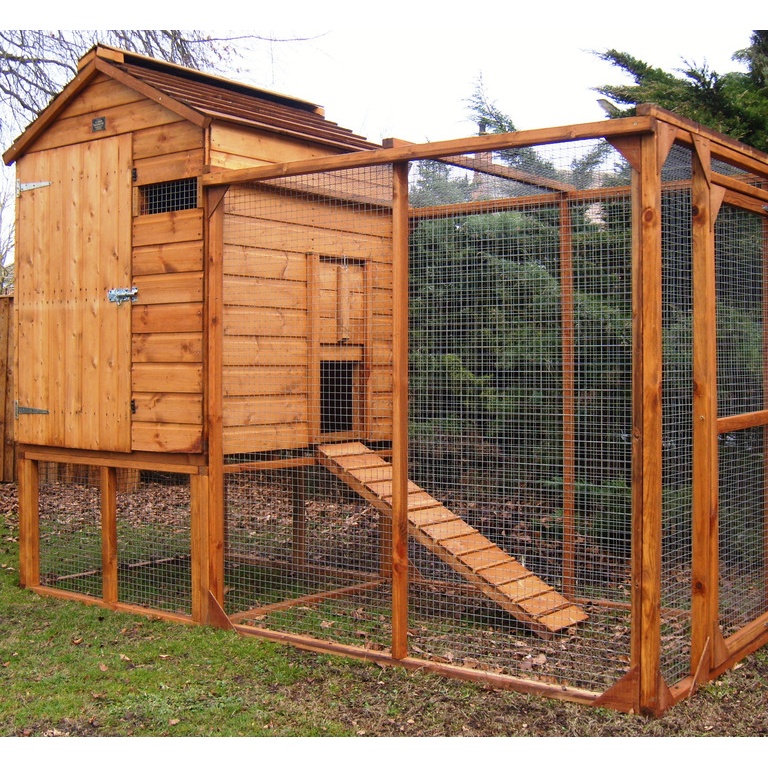 A1 Raised Chicken Coop