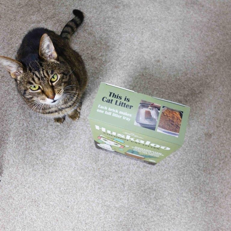 Coconut cat litter top