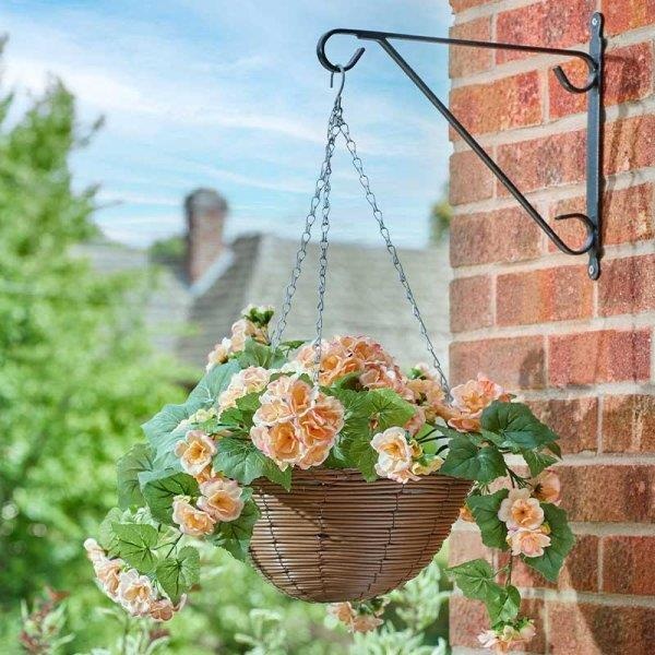 Smart Garden Regal Basket - Begonia Blooms