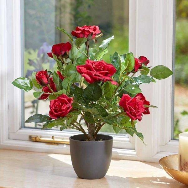 Smart Garden 40cm Regent's Roses - Ruby Red