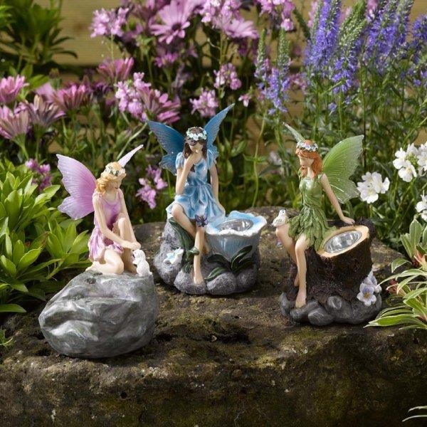 Smart Garden Fairy Spots Assortment