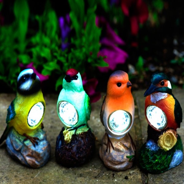 Smart Garden Bird Spots Assortment