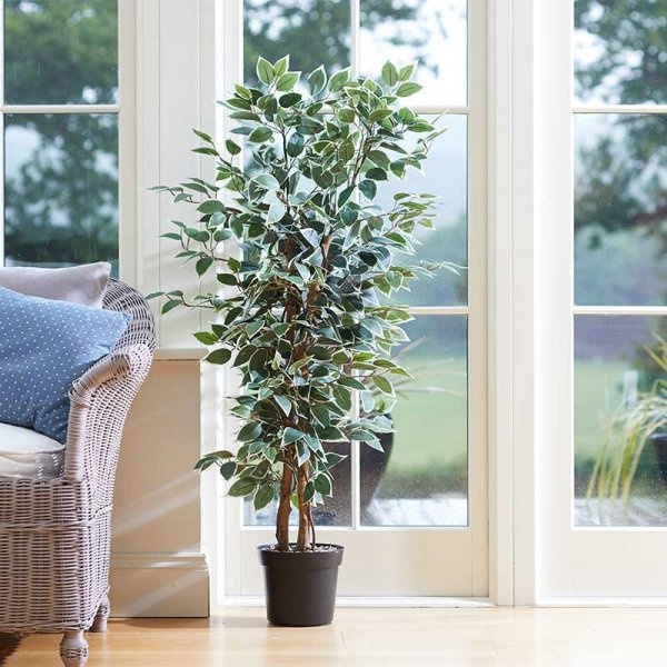 Smart Garden Weeping Fig Artificial Plant