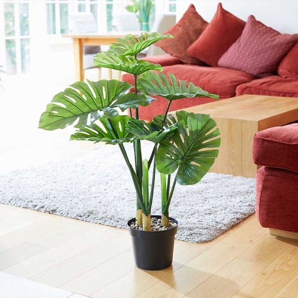 Smart Garden Swiss Cheese Artificial Plant