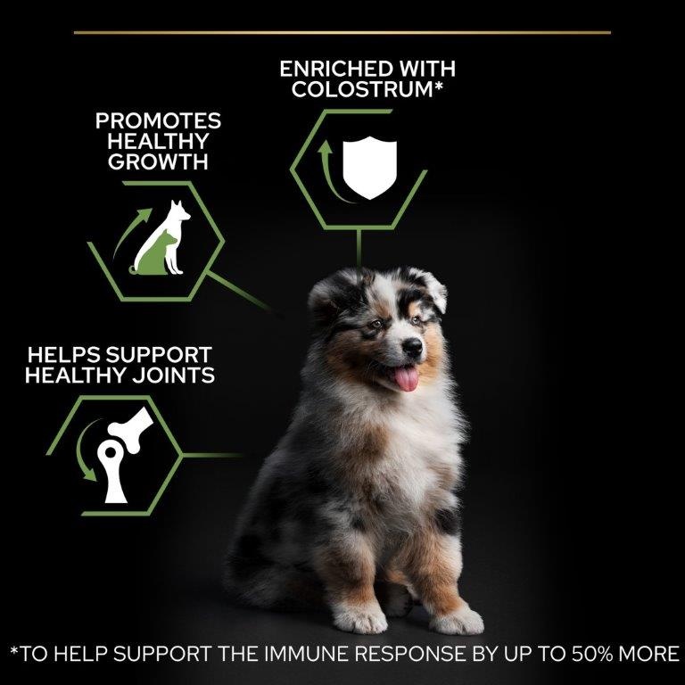 Pro plan medium puppy 12kg shop