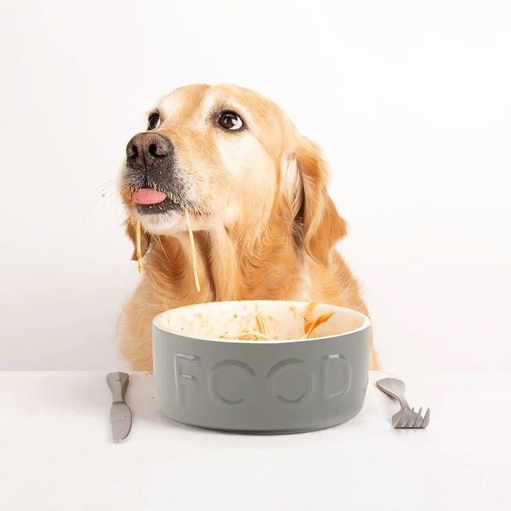 Scruffs Classic Food Bowl - Grey