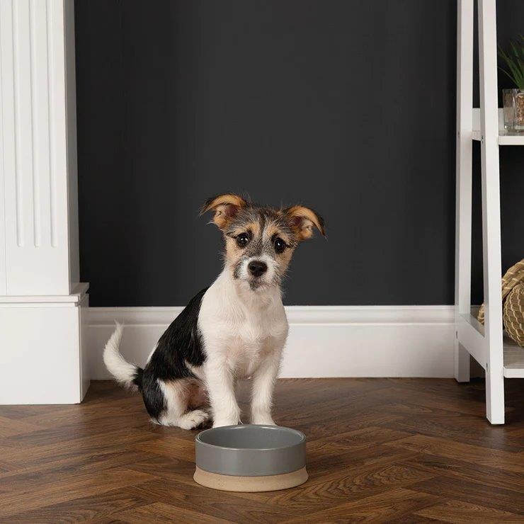 Anti tip water bowl online