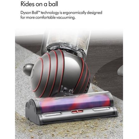 Dyson Ball Animal Origin Upright Vacuum Cleaner | Downtown