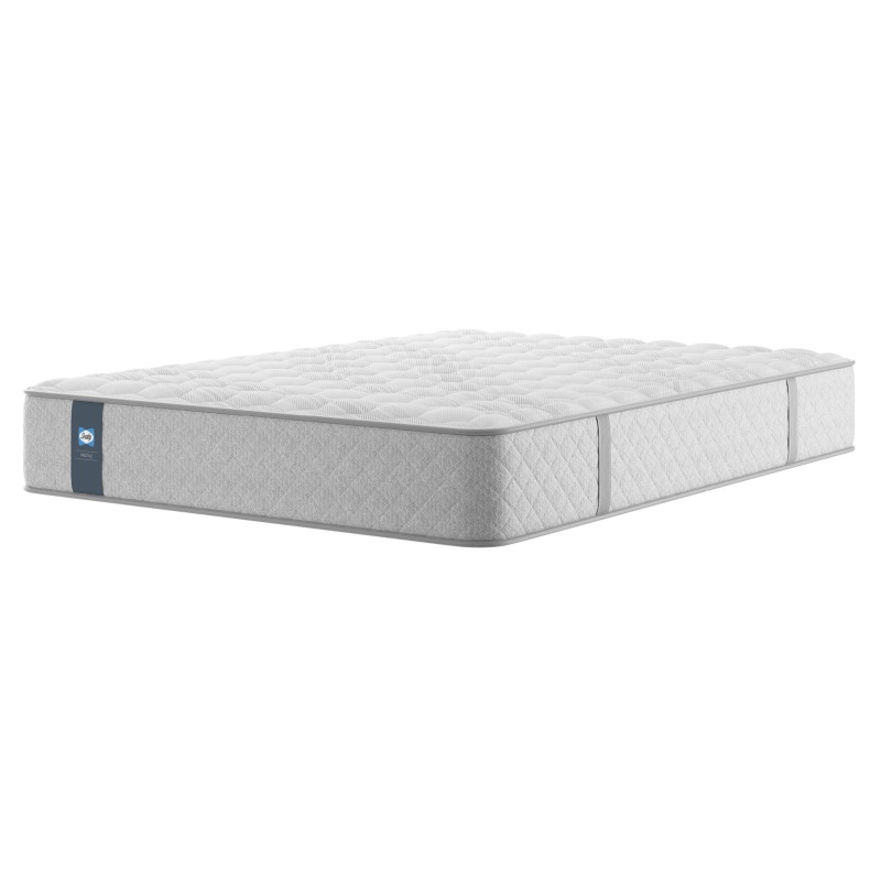 Sealy Dynamic Mattress