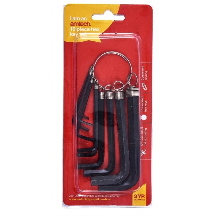 Amtech 10 Piece Hex Key Set And Keyring