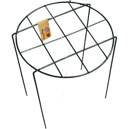 Poppy Forge Poppy Forge Simple Mesh Plant Support Ring - Pack of 4