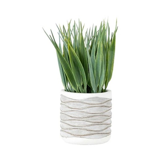 Grass in Wavy Pot Small 2 Pack