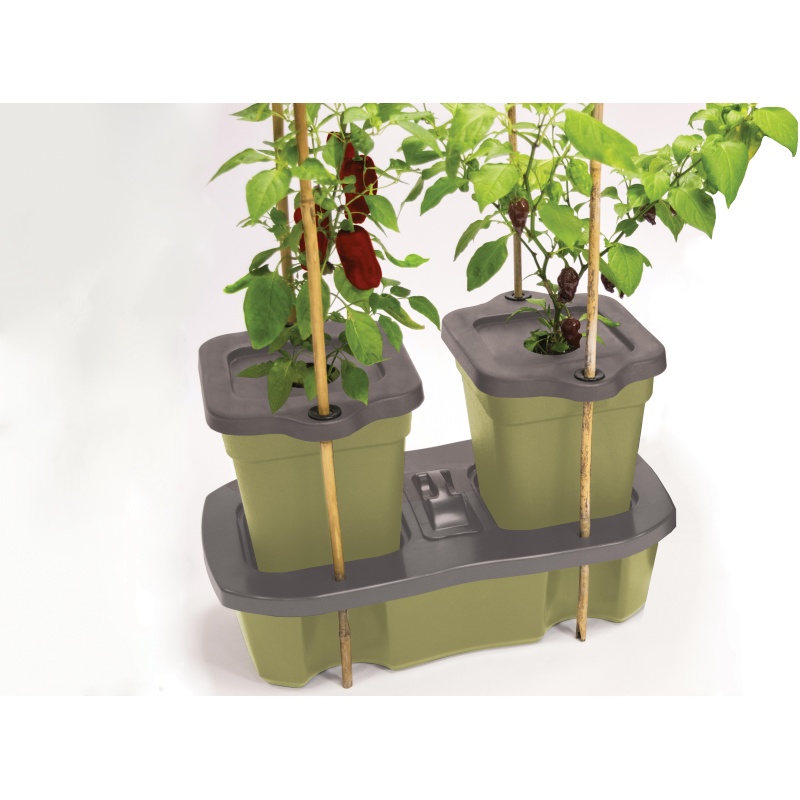 Garland Garland Duogrow Self Watering Planter