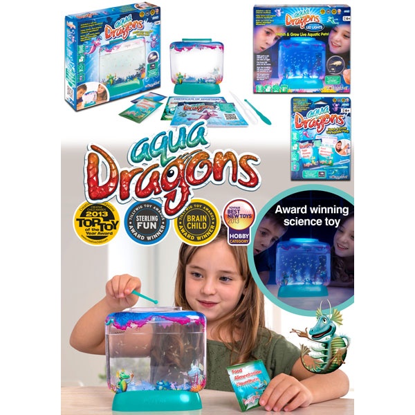 Aqua Dragons Brainstorm Eggs