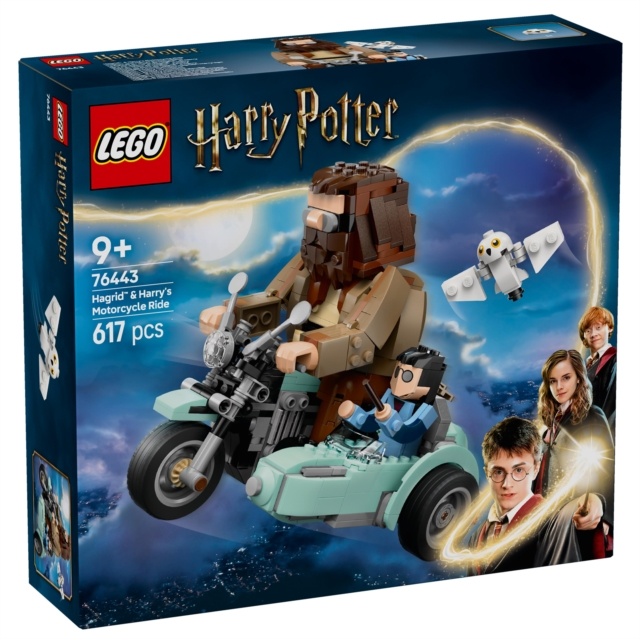 Image of LEGO Harry Potter 76443 Hagrid and Harrys Motorcycle Ride In Multi