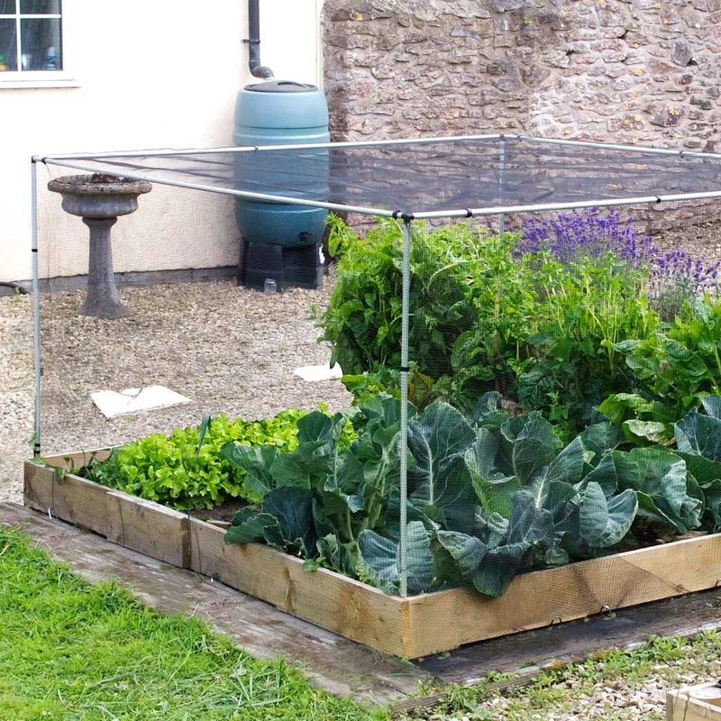 Main Frame Veg Cage Starter Kit - 4ft x 4ft