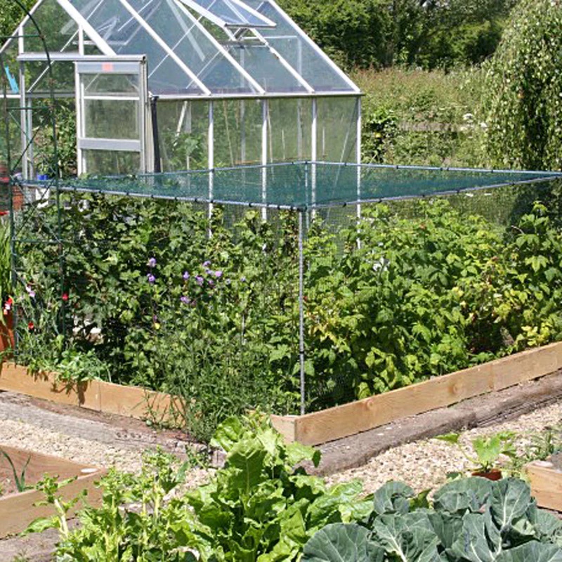 Main Frame Fruit Cage Starter Kit - 6ft x 6ft