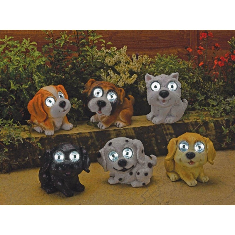 Smart Garden Bright Eye Dogs