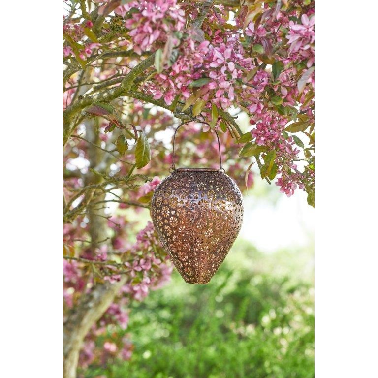 Smart Garden Zahra Hanging Lantern - Bronze