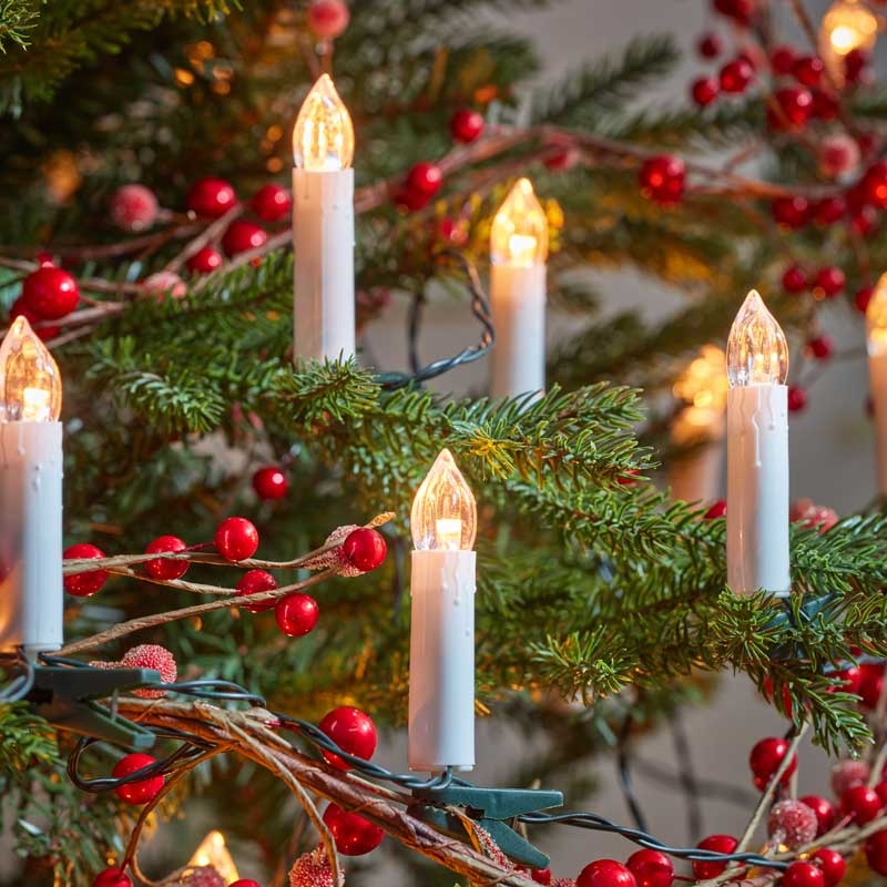 Smart Garden Three Kings Tree Candle String Lights - Set of 50