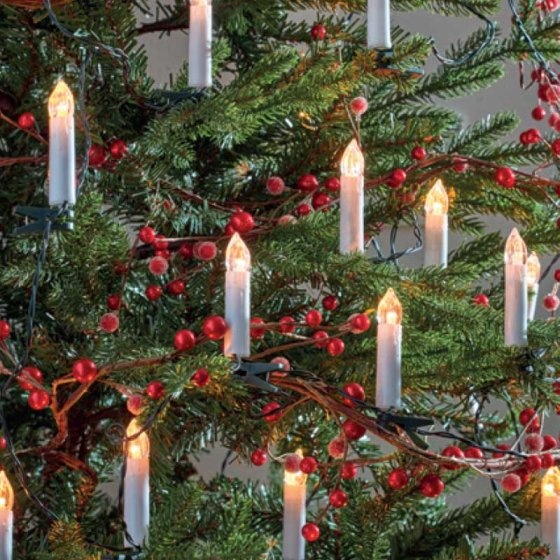 Smart Garden Set of 50 Candle String Lights