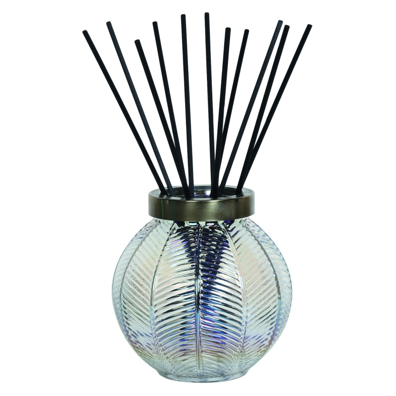 Aromatize Diffuser Bottle & 50 Fibre Reeds - Clear