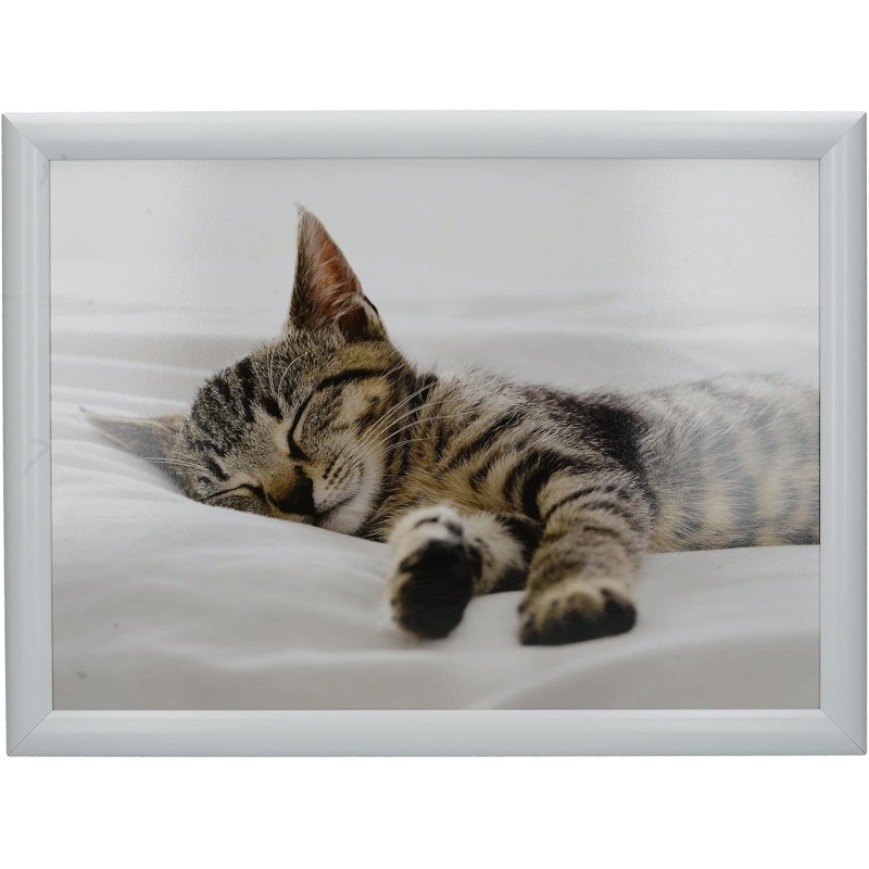 Creative Tops Unisex Multicolor Sleeping Kitten Lap Tray - Image 4