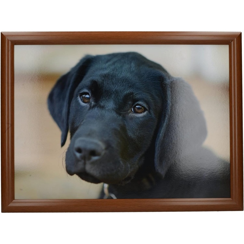 Creative Tops Black Labrador Laptray