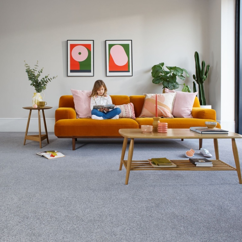 Cormar Carpet Co Cormar Apollo Plus Carpet