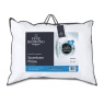 The Fine Bedding Company Spundown Firm Support Pillow