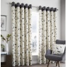 Beechwood Eyelet Curtains in Charcoal